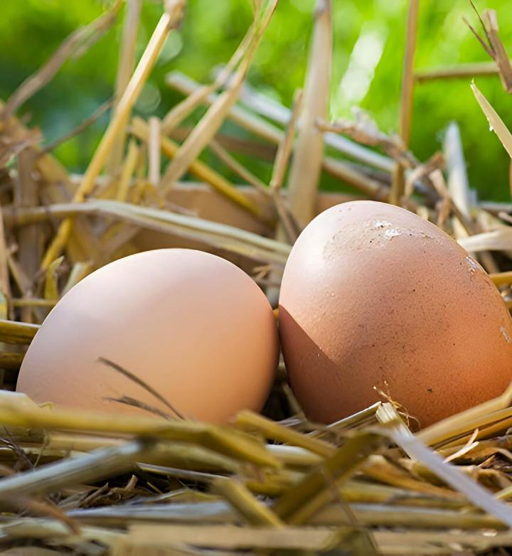 Vente de produits de ferme Creuse